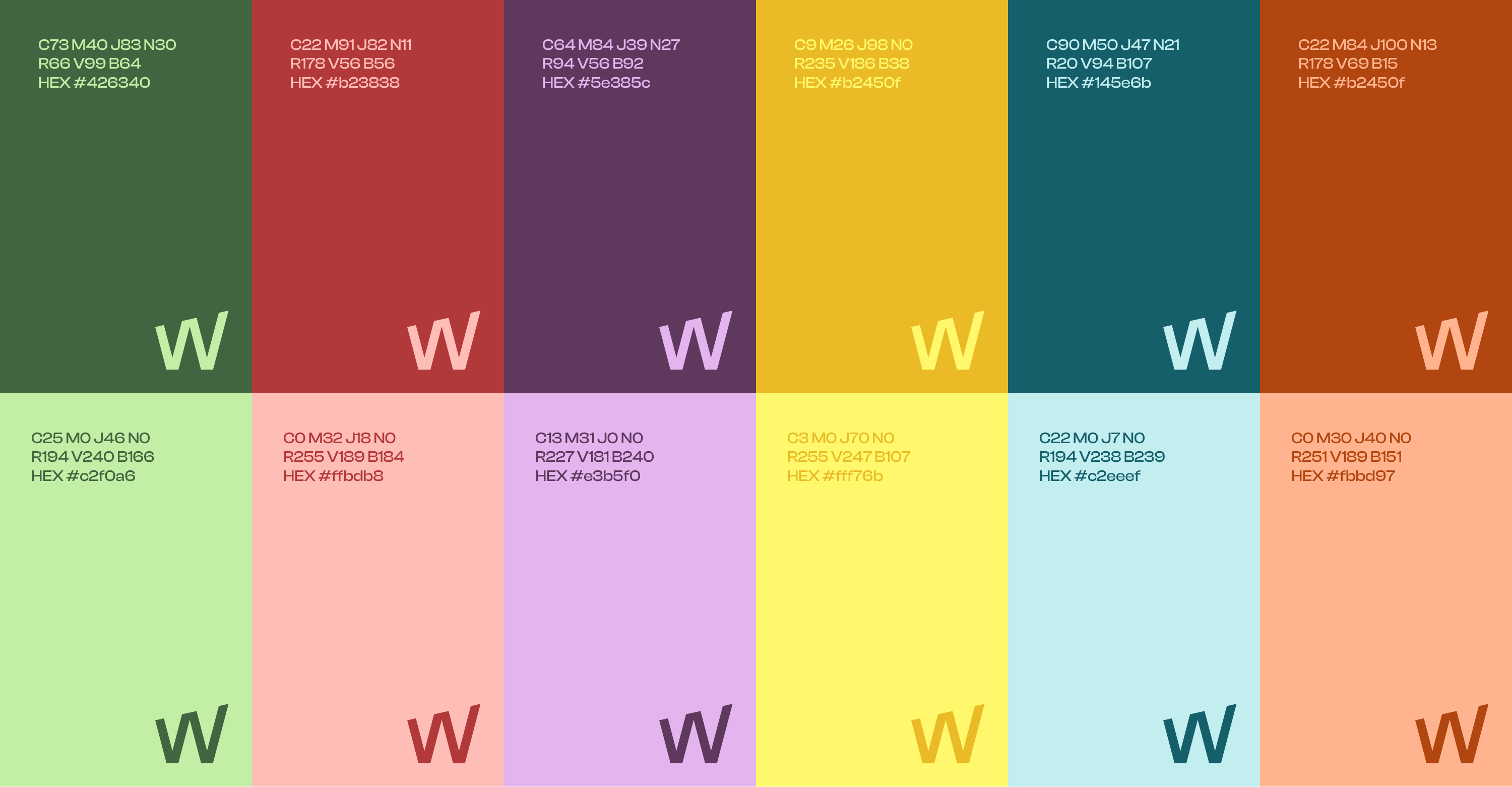 Charte graphique couleurs Wellso identité visuelle