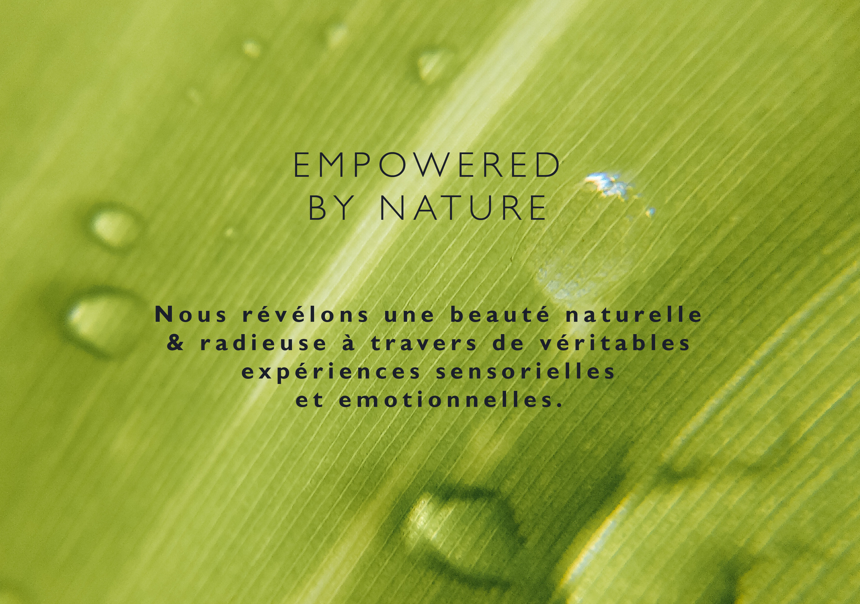 L'Occitane Groupe empowered by nature
