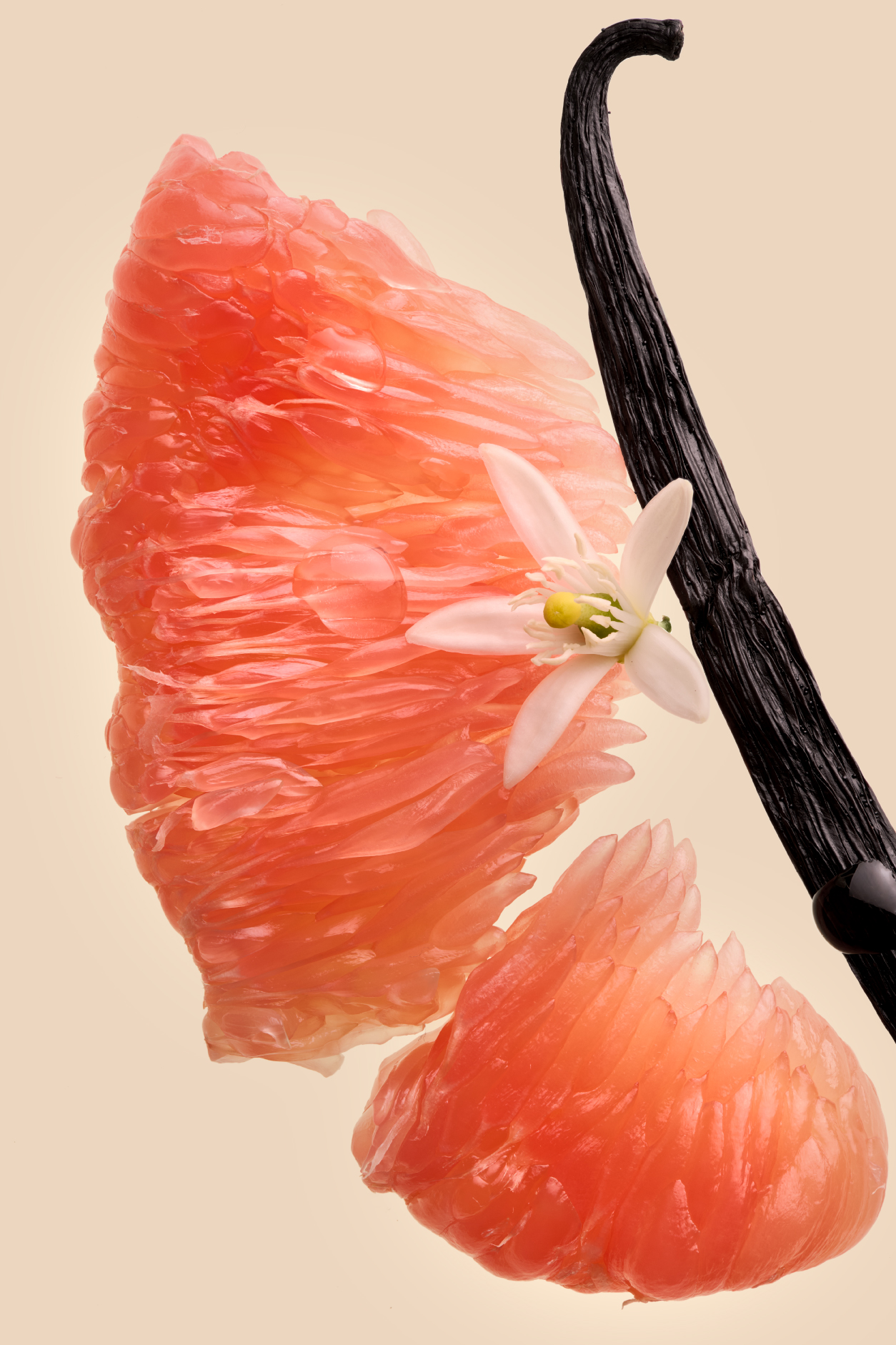 château galoupet cru classé pamplemousse