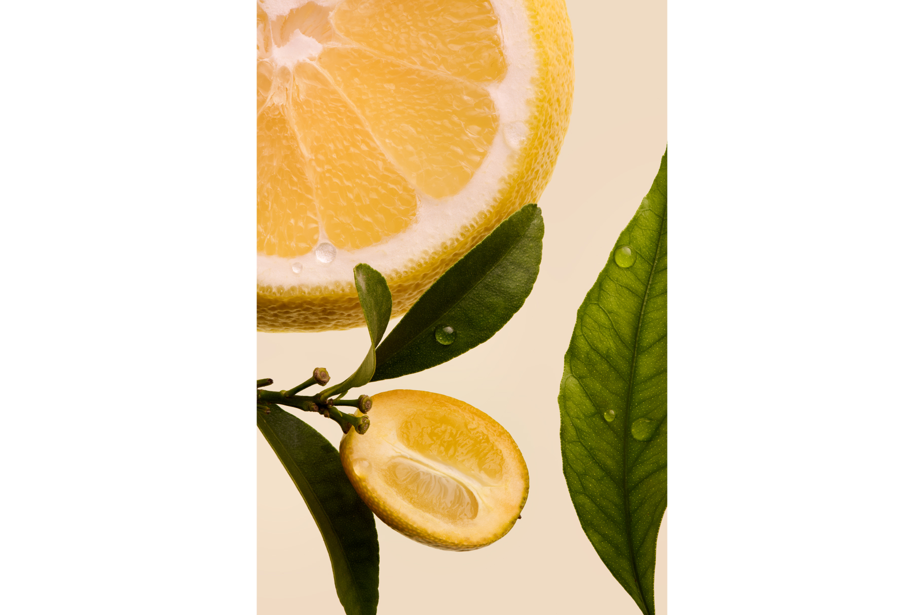 château galoupet cru classé key citron