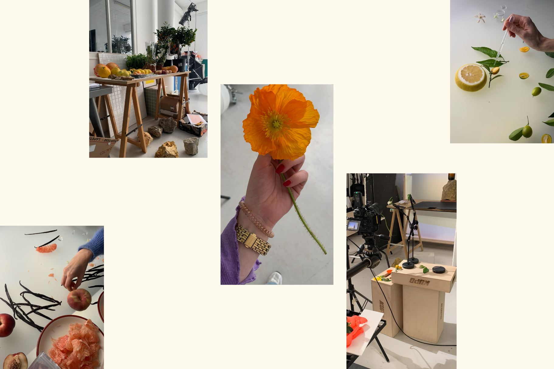 château galoupet cru classé rosé shooting